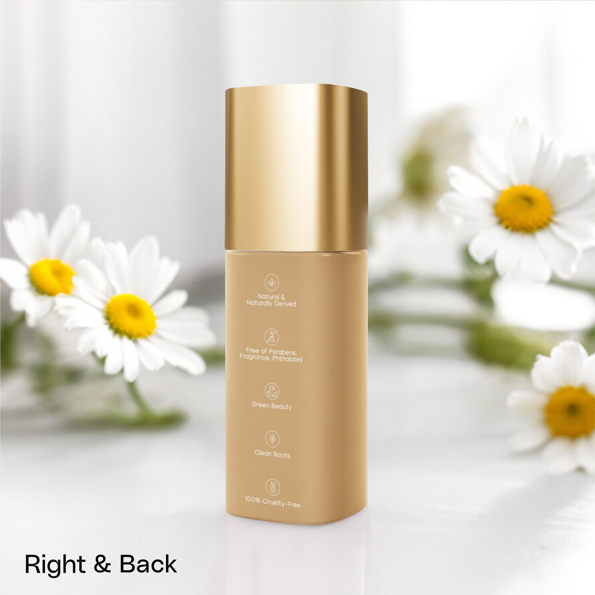 Snail Mucin Essence