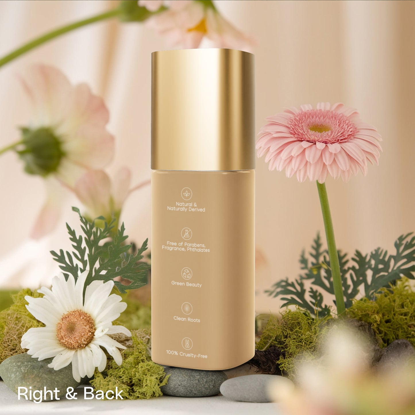 Snail Mucin Essence